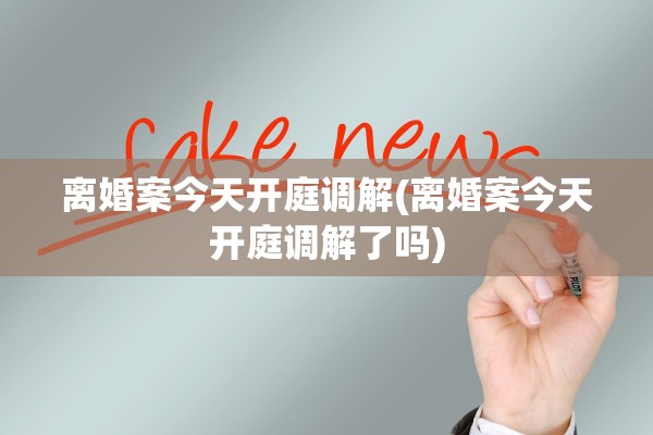 离婚案今天开庭调解(离婚案今天开庭调解了吗)