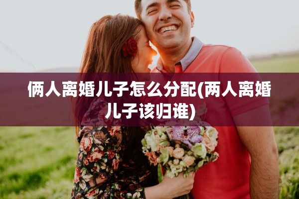 俩人离婚儿子怎么分配(两人离婚儿子该归谁)