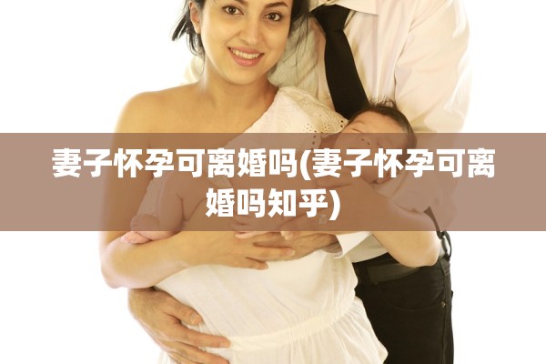妻子怀孕可离婚吗(妻子怀孕可离婚吗知乎)