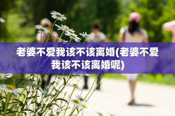 老婆不爱我该不该离婚(老婆不爱我该不该离婚呢)