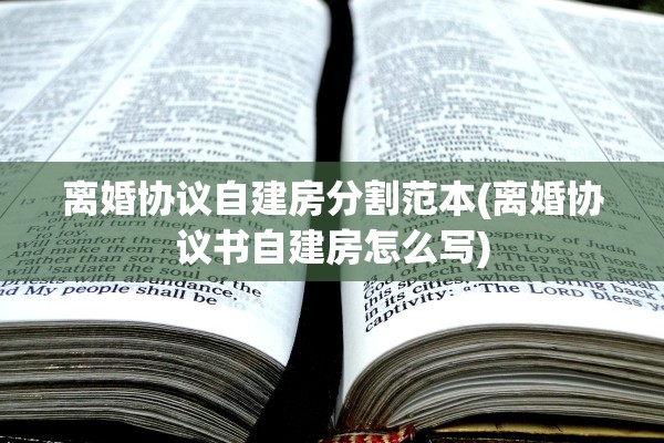 离婚协议自建房分割范本(离婚协议书自建房怎么写)
