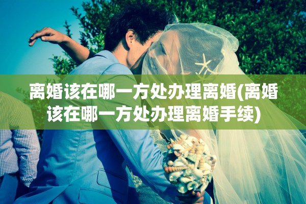 离婚该在哪一方处办理离婚(离婚该在哪一方处办理离婚手续)
