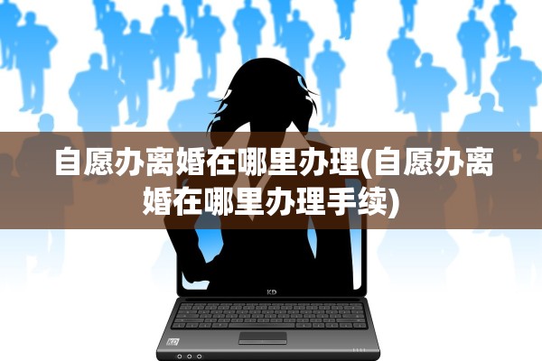 自愿办离婚在哪里办理(自愿办离婚在哪里办理手续)