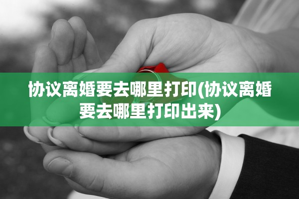 协议离婚要去哪里打印(协议离婚要去哪里打印出来)
