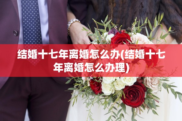 结婚十七年离婚怎么办(结婚十七年离婚怎么办理)