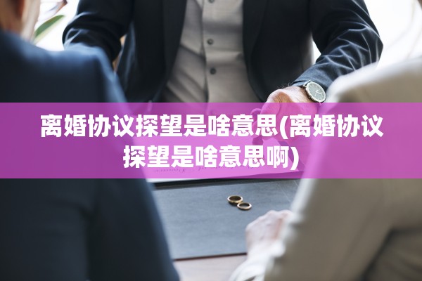 离婚协议探望是啥意思(离婚协议探望是啥意思啊)