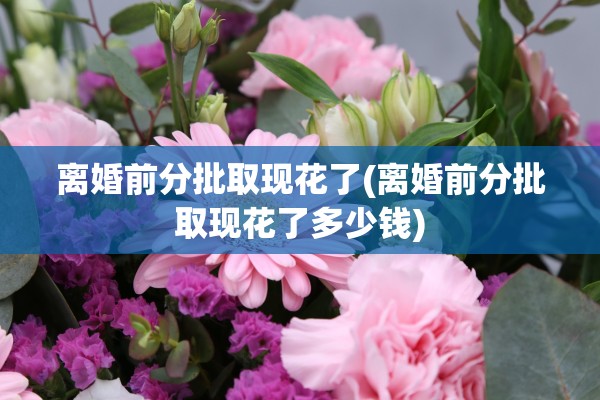 离婚前分批取现花了(离婚前分批取现花了多少钱)