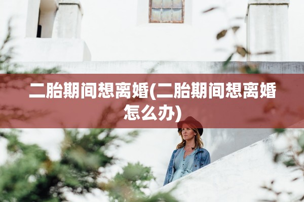 二胎期间想离婚(二胎期间想离婚怎么办)