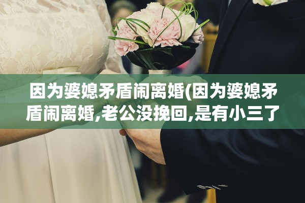 因为婆媳矛盾闹离婚(因为婆媳矛盾闹离婚,老公没挽回,是有小三了嘛)