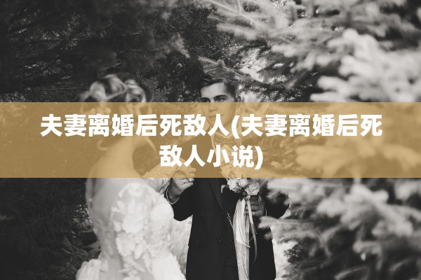 夫妻离婚后死敌人(夫妻离婚后死敌人小说)