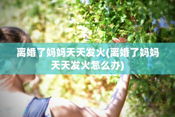 离婚了妈妈天天发火(离婚了妈妈天天发火怎么办)