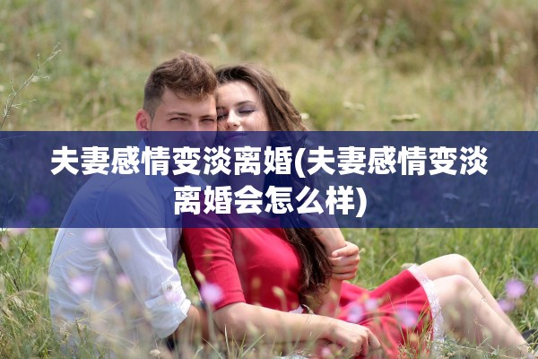 夫妻感情变淡离婚(夫妻感情变淡离婚会怎么样)