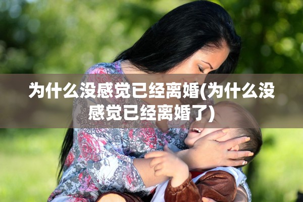 为什么没感觉已经离婚(为什么没感觉已经离婚了)