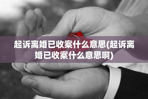 起诉离婚已收案什么意思(起诉离婚已收案什么意思啊)