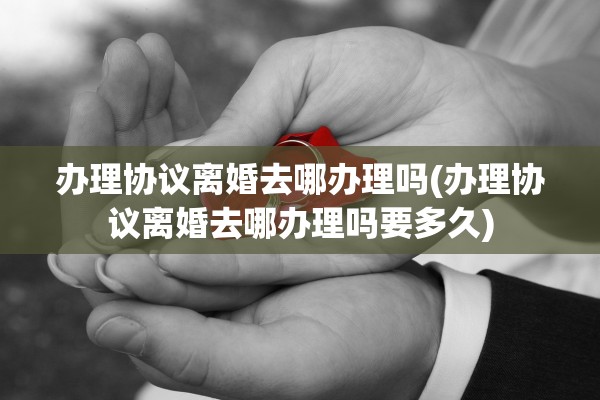 办理协议离婚去哪办理吗(办理协议离婚去哪办理吗要多久)