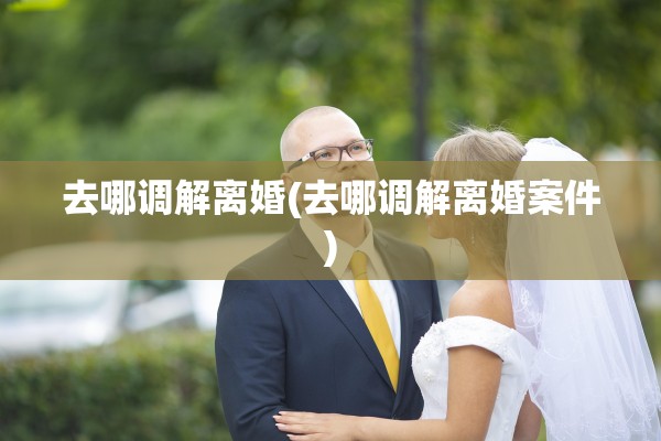去哪调解离婚(去哪调解离婚案件)