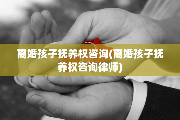 离婚孩子抚养权咨询(离婚孩子抚养权咨询律师)