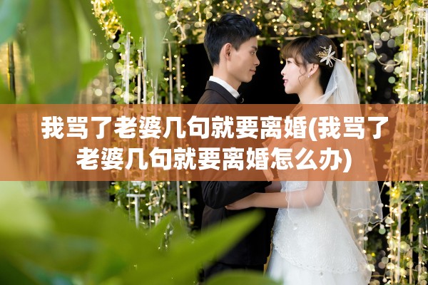 我骂了老婆几句就要离婚(我骂了老婆几句就要离婚怎么办)