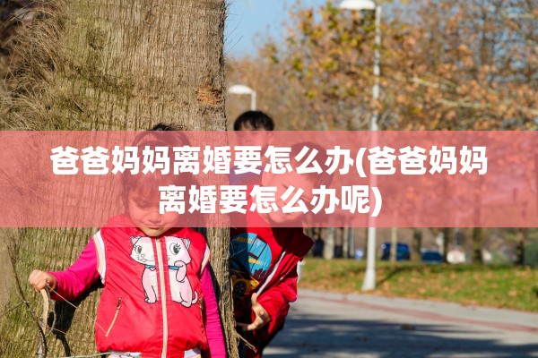 爸爸妈妈离婚要怎么办(爸爸妈妈离婚要怎么办呢)