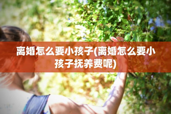 离婚怎么要小孩子(离婚怎么要小孩子抚养费呢)
