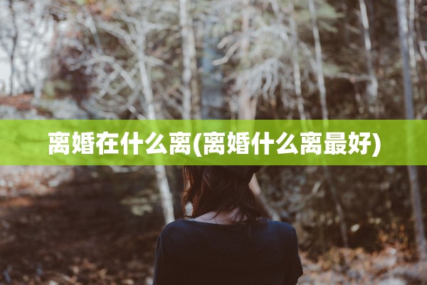 离婚在什么离(离婚什么离最好)