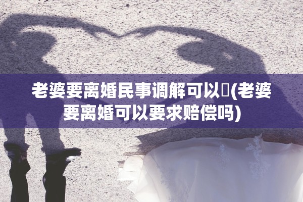 老婆要离婚民事调解可以嗎(老婆要离婚可以要求赔偿吗)