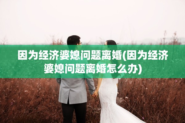 因为经济婆媳问题离婚(因为经济婆媳问题离婚怎么办)