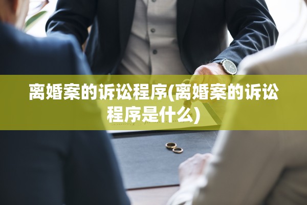 离婚案的诉讼程序(离婚案的诉讼程序是什么)