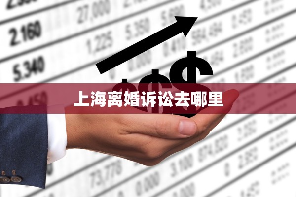 上海离婚诉讼去哪里