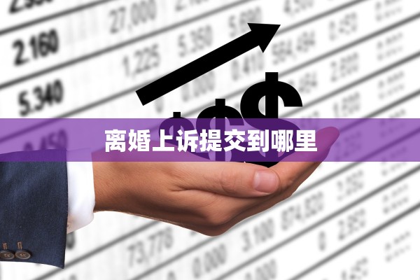 离婚上诉提交到哪里 离婚上诉提交到哪里