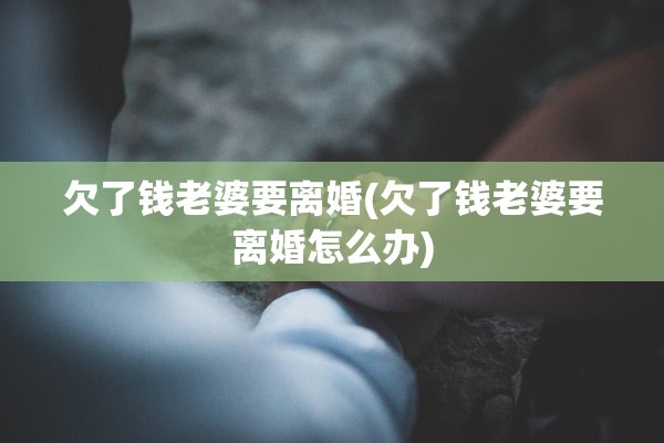 欠了钱老婆要离婚(欠了钱老婆要离婚怎么办)