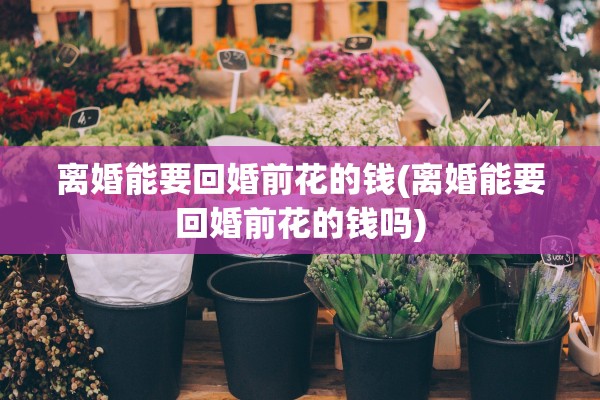 离婚能要回婚前花的钱(离婚能要回婚前花的钱吗)