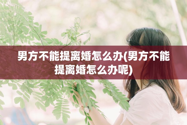 男方不能提离婚怎么办(男方不能提离婚怎么办呢)