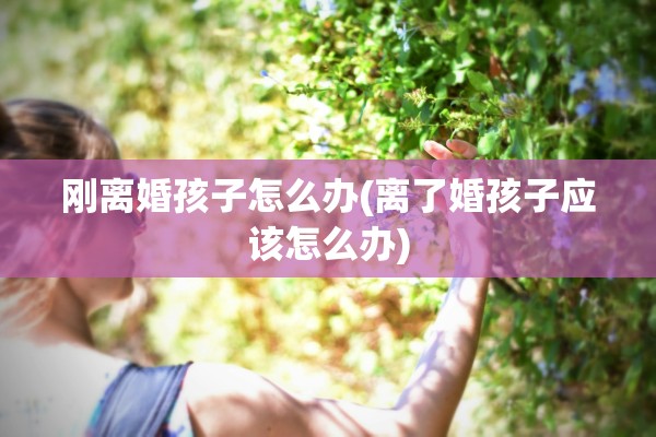 刚离婚孩子怎么办(离了婚孩子应该怎么办)
