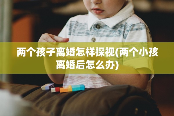 两个孩子离婚怎样探视(两个小孩离婚后怎么办)