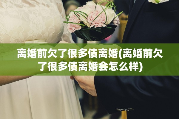 离婚前欠了很多债离婚(离婚前欠了很多债离婚会怎么样)