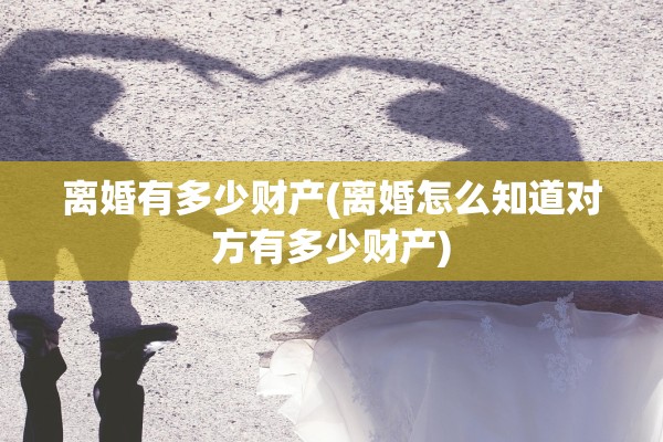 离婚有多少财产(离婚怎么知道对方有多少财产)