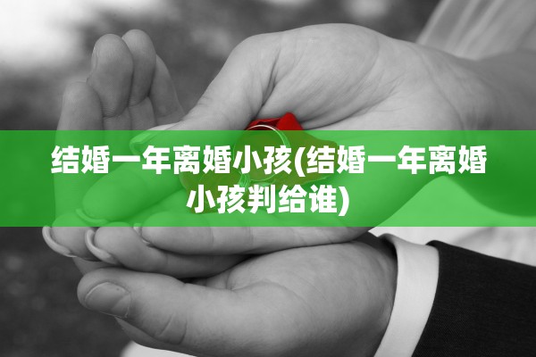 结婚一年离婚小孩(结婚一年离婚小孩判给谁)