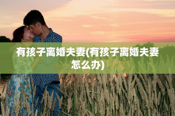 有孩子离婚夫妻(有孩子离婚夫妻怎么办) 有孩子离婚夫妻(有孩子离婚夫妻怎么办)