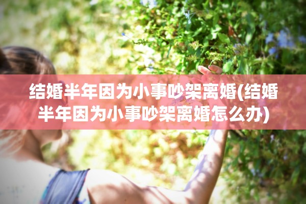 结婚半年因为小事吵架离婚(结婚半年因为小事吵架离婚怎么办)