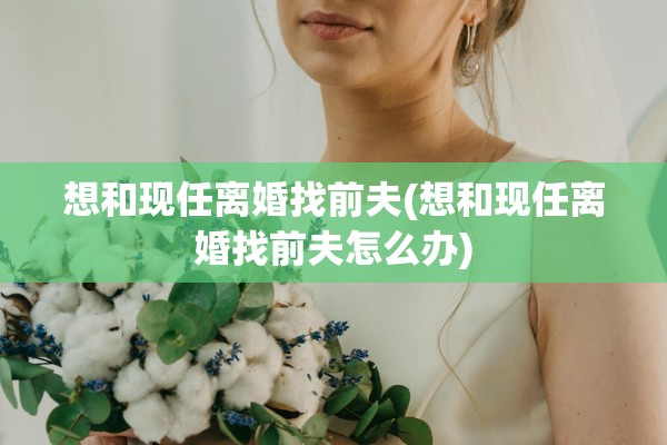 想和现任离婚找前夫(想和现任离婚找前夫怎么办)