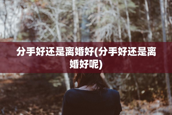 分手好还是离婚好(分手好还是离婚好呢)