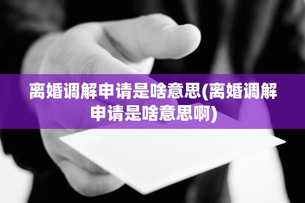 离婚调解申请是啥意思(离婚调解申请是啥意思啊)