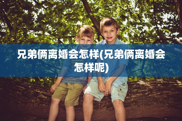 兄弟俩离婚会怎样(兄弟俩离婚会怎样呢)