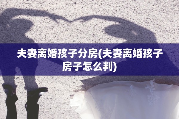 夫妻离婚孩子分房(夫妻离婚孩子房子怎么判)