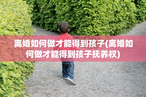 离婚如何做才能得到孩子(离婚如何做才能得到孩子抚养权) 离婚如何做才能得到孩子(离婚如何做才能得到孩子抚养权)