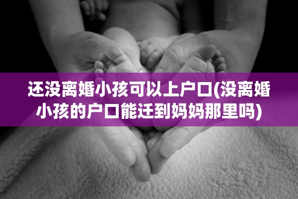 还没离婚小孩可以上户口(没离婚小孩的户口能迁到妈妈那里吗) 还没离婚小孩可以上户口(没离婚小孩的户口能迁到妈妈那里吗)