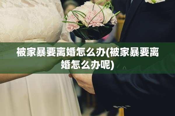 被家暴要离婚怎么办(被家暴要离婚怎么办呢)