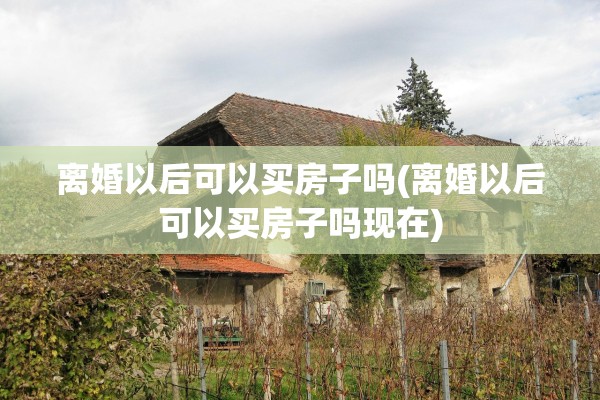 离婚以后可以买房子吗(离婚以后可以买房子吗现在)