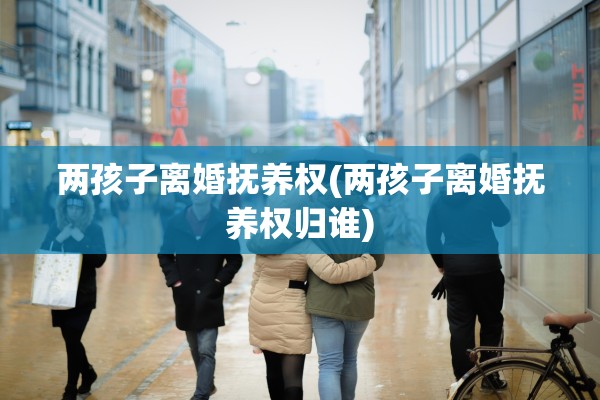 两孩子离婚抚养权(两孩子离婚抚养权归谁)